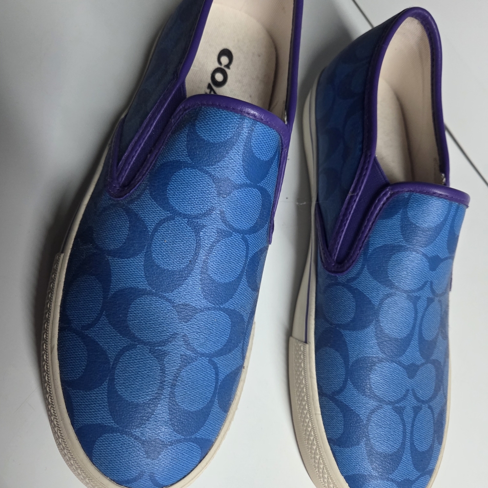 Coach Vibrant Blue and Purple Men's Loafers